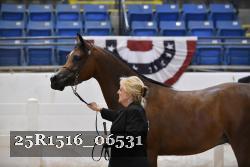 25R1516_06531 thumbnail
