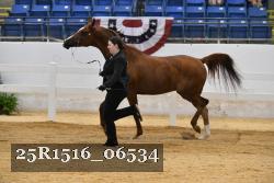 25R1516_06534 thumbnail