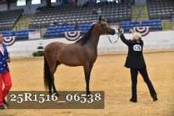 25R1516_06538 thumbnail