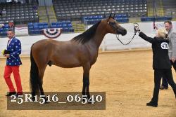 25R1516_06540 thumbnail