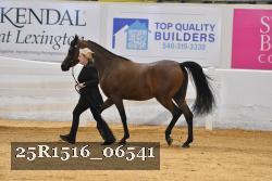 25R1516_06541 thumbnail
