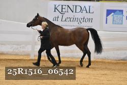 25R1516_06542 thumbnail