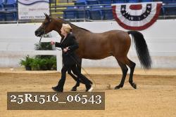 25R1516_06543 thumbnail