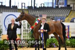 25R1516_06546 thumbnail