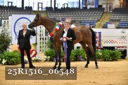 25R1516_06548 thumbnail