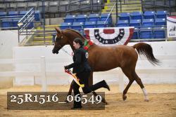 25R1516_06549 thumbnail