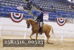 25R1516_00523 thumbnail