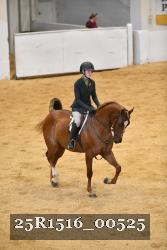 25R1516_00525 thumbnail