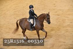 25R1516_00530 thumbnail