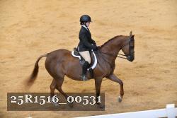 25R1516_00531 thumbnail