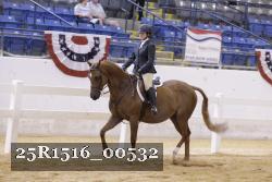 25R1516_00532 thumbnail