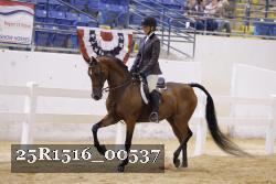 25R1516_00537 thumbnail