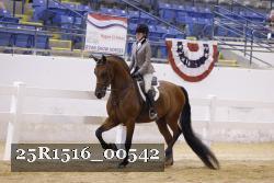 25R1516_00542 thumbnail