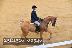 25R1516_00546 thumbnail