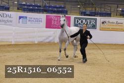 25R1516_06552 thumbnail