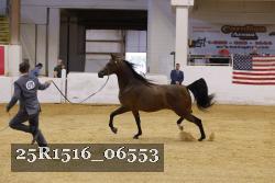 25R1516_06553 thumbnail