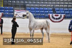 25R1516_06554 thumbnail