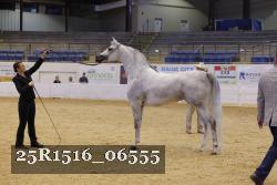 25R1516_06555 thumbnail