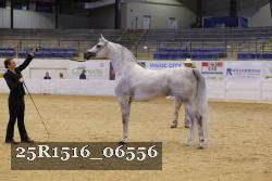 25R1516_06556 thumbnail