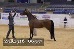 25R1516_06557 thumbnail