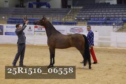 25R1516_06558 thumbnail