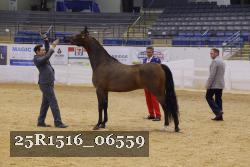 25R1516_06559 thumbnail