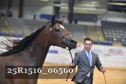 25R1516_06560 thumbnail