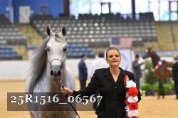 25R1516_06567 thumbnail