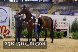 25R1516_06568 thumbnail
