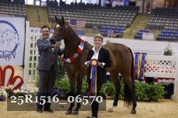 25R1516_06570 thumbnail