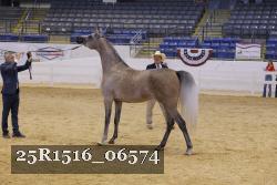 25R1516_06574 thumbnail