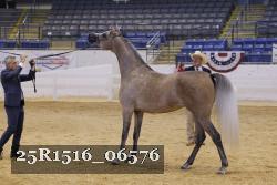 25R1516_06576 thumbnail