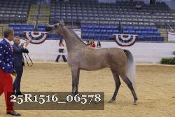 25R1516_06578 thumbnail