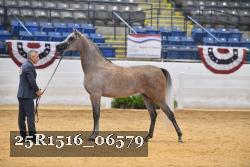 25R1516_06579 thumbnail
