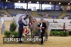 25R1516_06580 thumbnail
