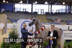 25R1516_06582 thumbnail