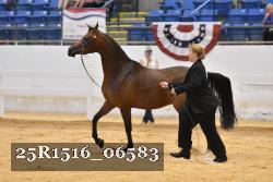 25R1516_06583 thumbnail