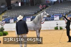25R1516_06584 thumbnail