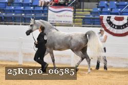 25R1516_06585 thumbnail