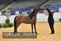 25R1516_06588 thumbnail