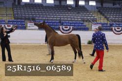 25R1516_06589 thumbnail