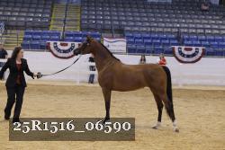 25R1516_06590 thumbnail
