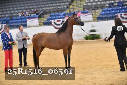 25R1516_06591 thumbnail
