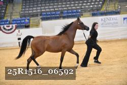 25R1516_06592 thumbnail