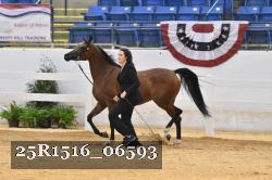 25R1516_06593 thumbnail