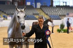 25R1516_06596 thumbnail