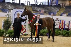 25R1516_06598 thumbnail
