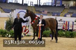 25R1516_06599 thumbnail