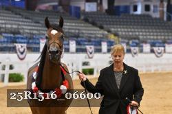 25R1516_06600 thumbnail