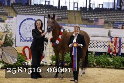 25R1516_06601 thumbnail